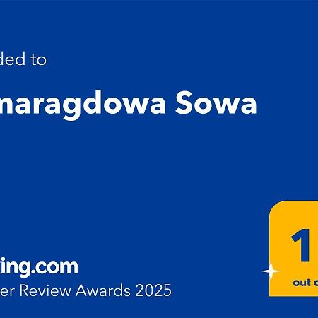 Szmaragdowa Sowa Lejlighed Wałbrzych Eksteriør billede